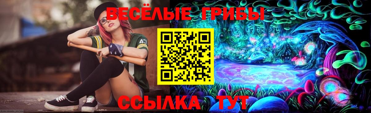 Галлюциногенные грибы Cubensis Нарткала